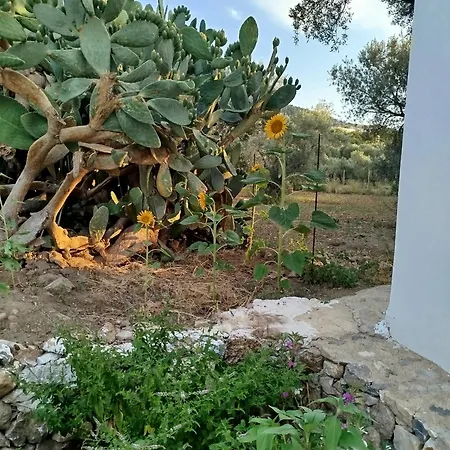 Grandpa's Place Holiday home Lagoudi Zia