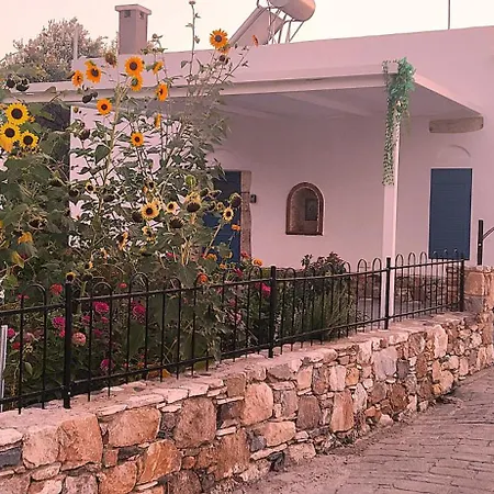 Grandpa's Place 펜션 Lagoudi Zia