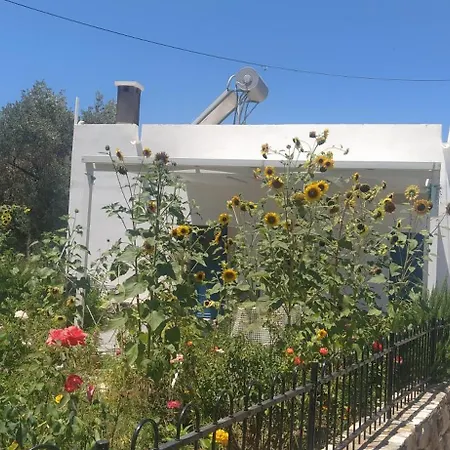 Grandpa's Place Tatil Evi Lagoudi Zia