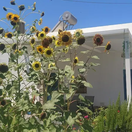 Grandpa's Place Σπίτι διακοπών *