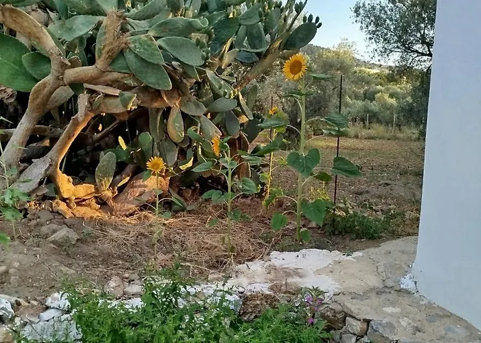 Grandpa's Place Дом отдыха Lagoudi Zia