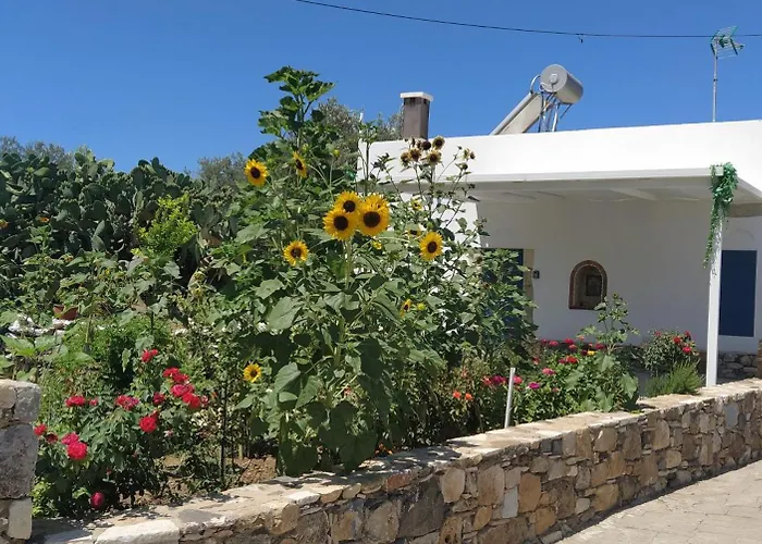 Grandpa's Place Casa de Férias *