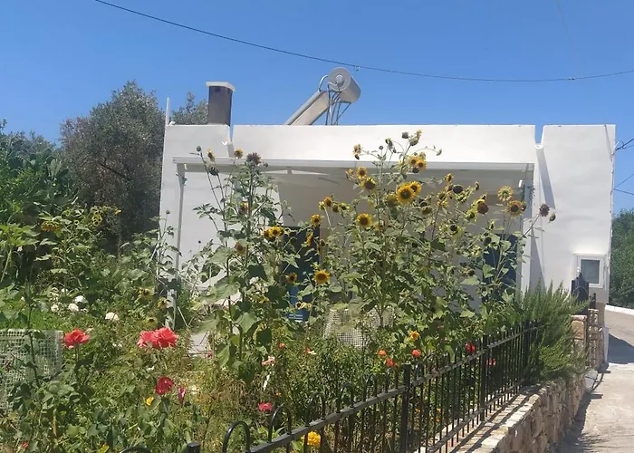 Grandpa's Place Дом отдыха Lagoudi Zia