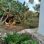 Grandpa's Place بيت للعطل Lagoudi Zia