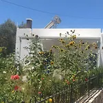 Grandpa's Place بيت للعطل Lagoudi Zia