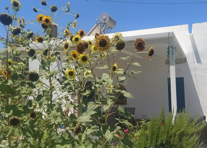 Grandpa's Place Semesterbostad *